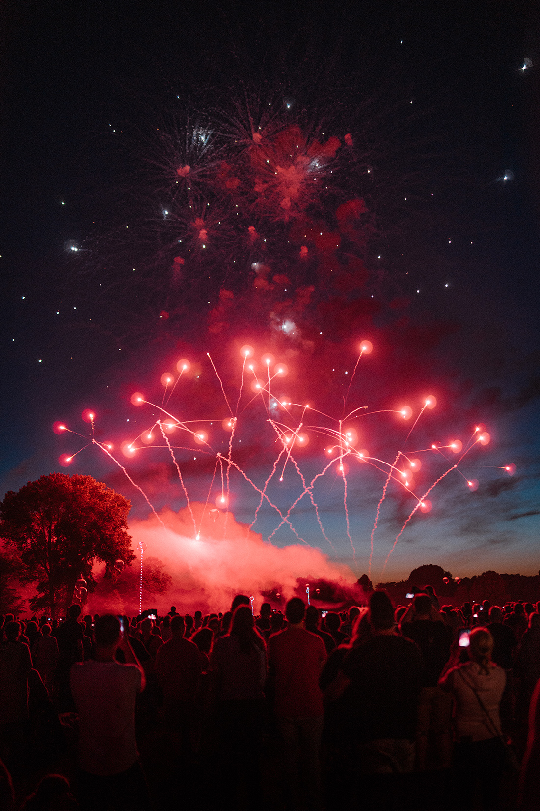 Zuschauergruppe im Park beobachtet das Abschlussfeuerwerk der Kieler Woche mit roten und goldenen Lichtern am Nachthimmel über Kiel.