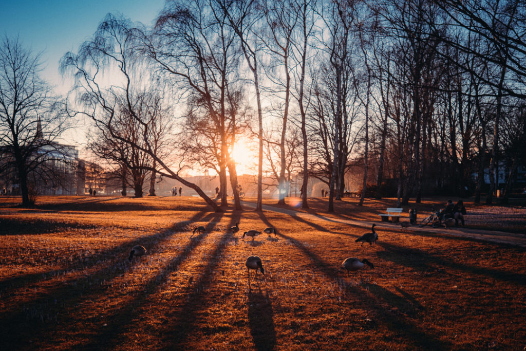 Sonnenuntergang Am Kleinen Kiel