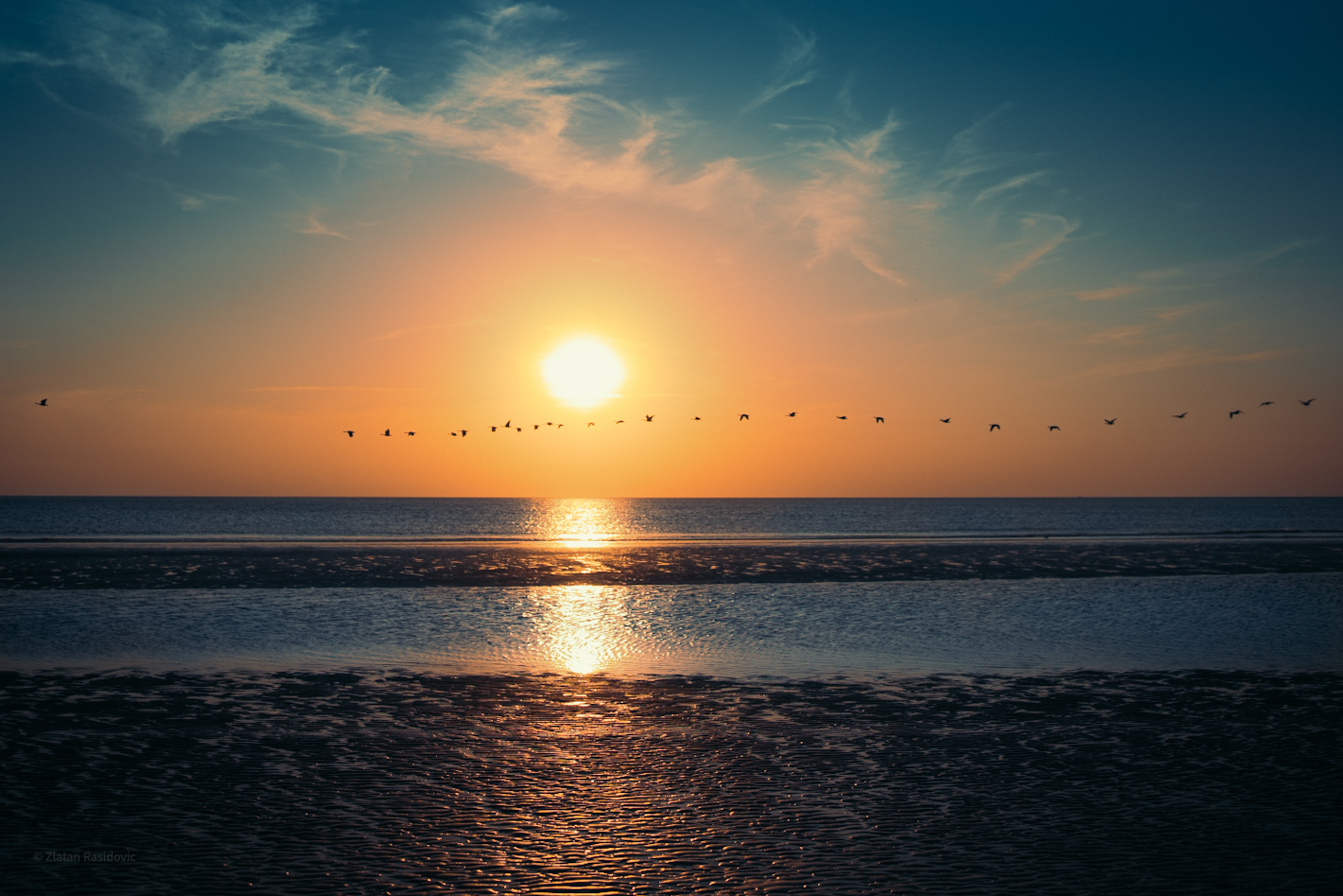 Sanktpeterording.jpg