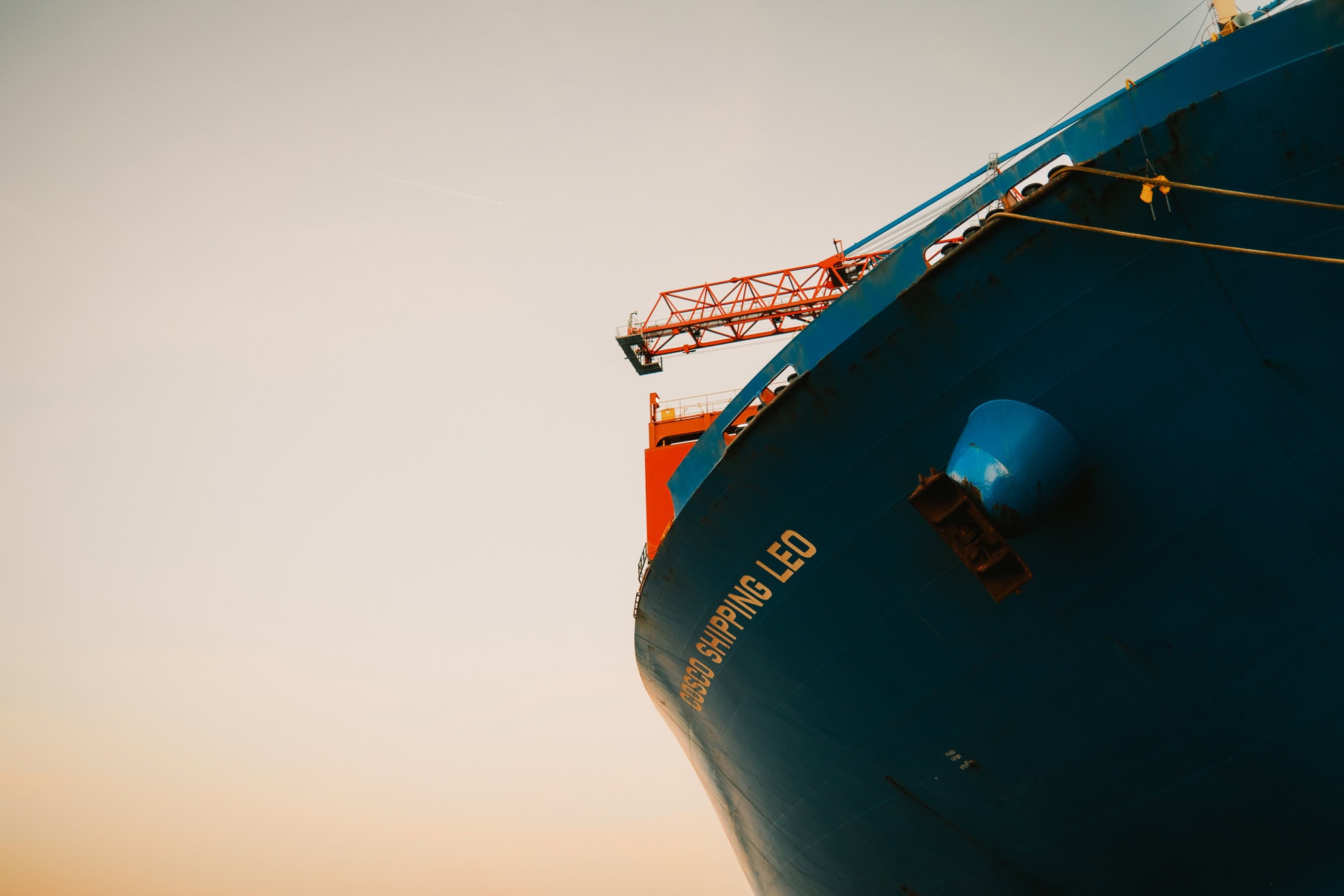 Naher Blick auf das Containerschiff „COSCO Shipping Leo“ im Hamburger Hafen mit weiteren Frachtern im Hintergrund, aufgenommen von einem Ausflugsboot.
