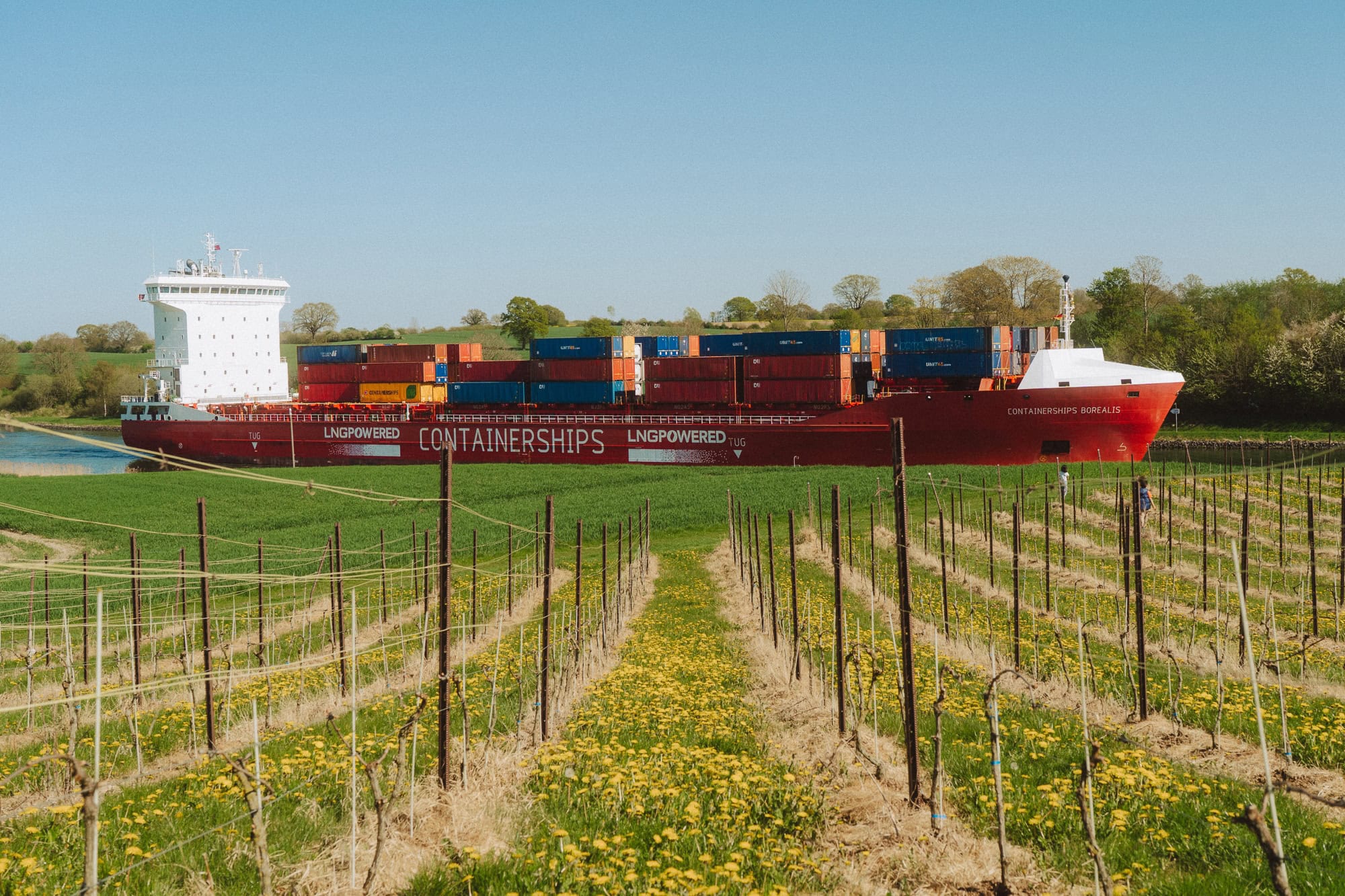 Rotes Containerschiff im Nord-Ostsee-Kanal bei Warleberg, umgeben von Löwenzahnwiese und grünen Feldern.
