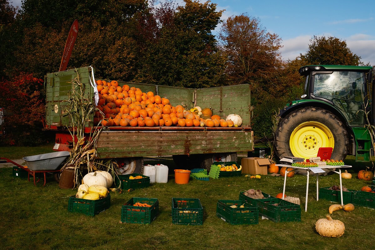 Ein mit Kürbissen beladener grüner Anhänger steht auf dem Herbstmarkt im Freilichtmuseum Molfsee. Erntezeit in Norddeutschland